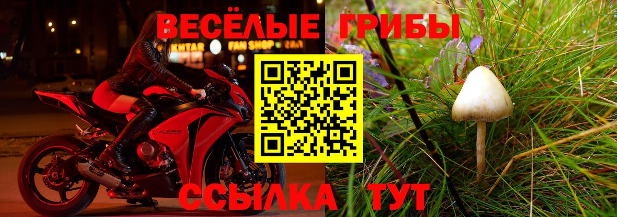 Галлюциногенные грибы ЛСД Серпухов